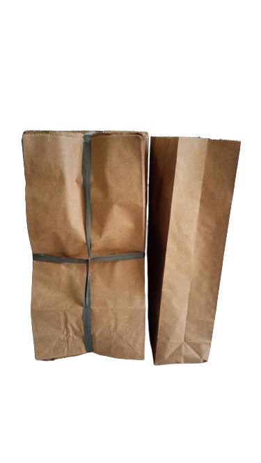 SACO PAPEL SOS  LISO  05 KG    C/100 UNID.   PCT DELIVERY