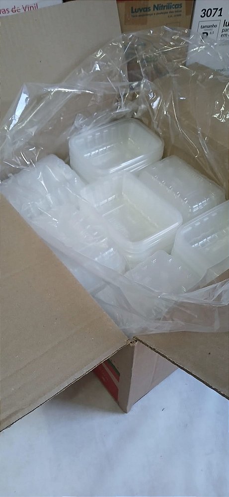 PLASTILANIA POTE GRANEL  RETANGULAR 350 ML  01X245 UNID.  SEM TAMPA