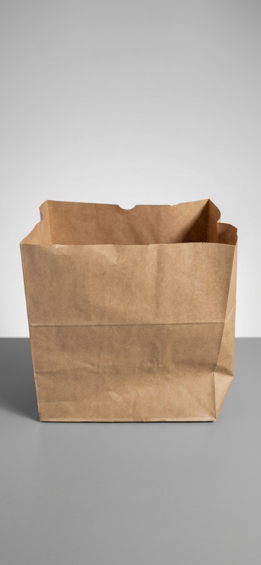SACO PAPEL SOS LISO 25 KG C/100 UNID. PCT DELIVERY