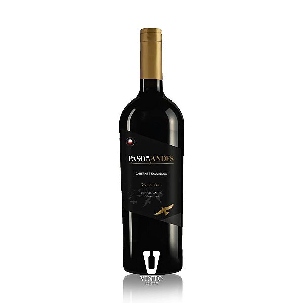 Vinho Paso de Los Andes Cabernet Sauvignon 750ml