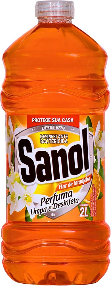 Desinfetante líquido para uso geral Flor de Laranjeira 2 litros Laranja