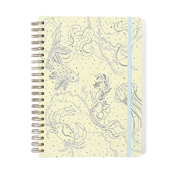 Caderno Espiral Origens Pautado 20x28 Áqua Traço 10 Matérias 160 fls