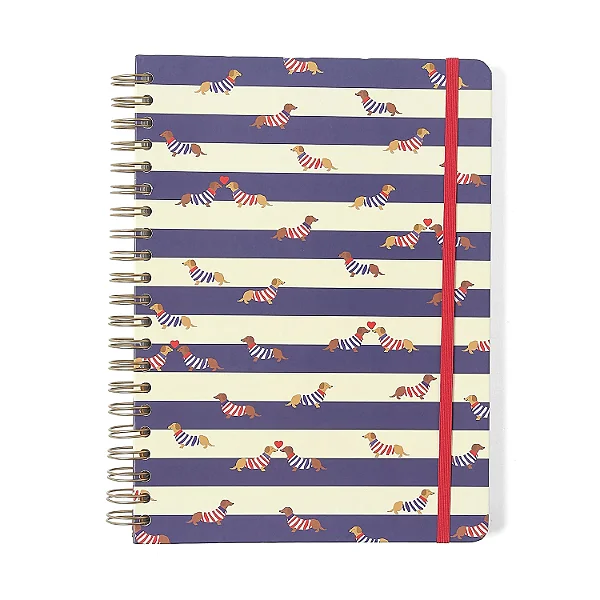 Caderno Espiral Praia Pautado 20x28 Cachorros 10 Matérias 160 fls