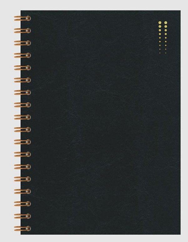 Caderno Redoma Colegial Premium Sortido