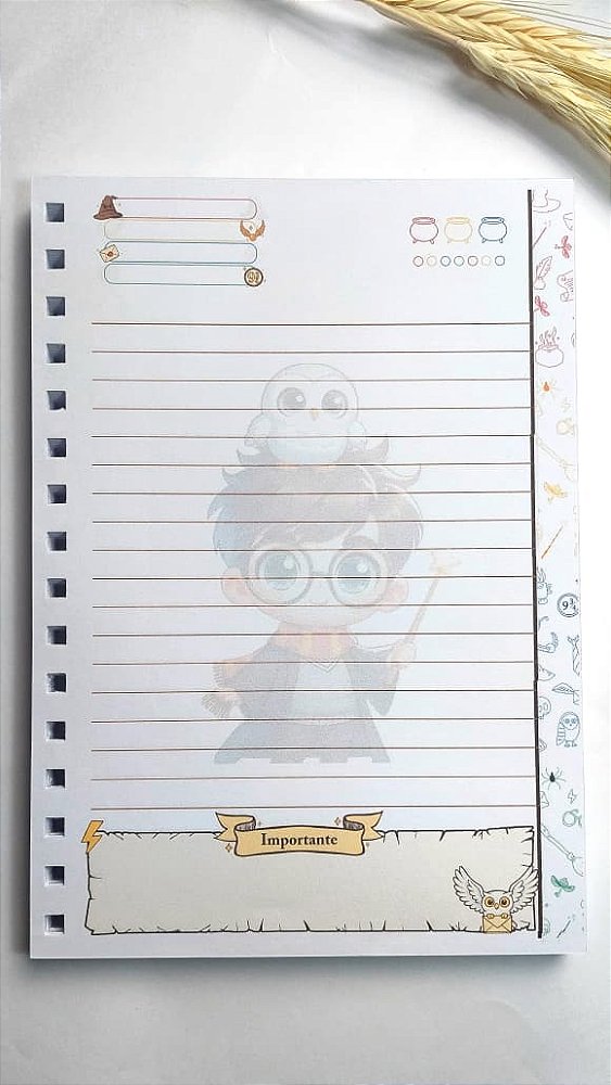 Miolo Impresso Harry Potter