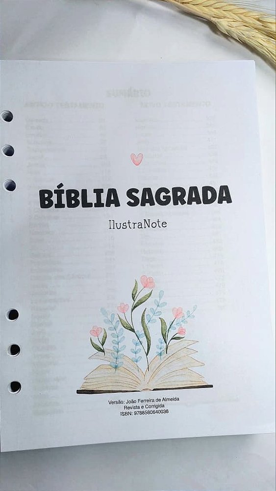 Miolo Impresso Bíblia Anote A5 - 6 furos
