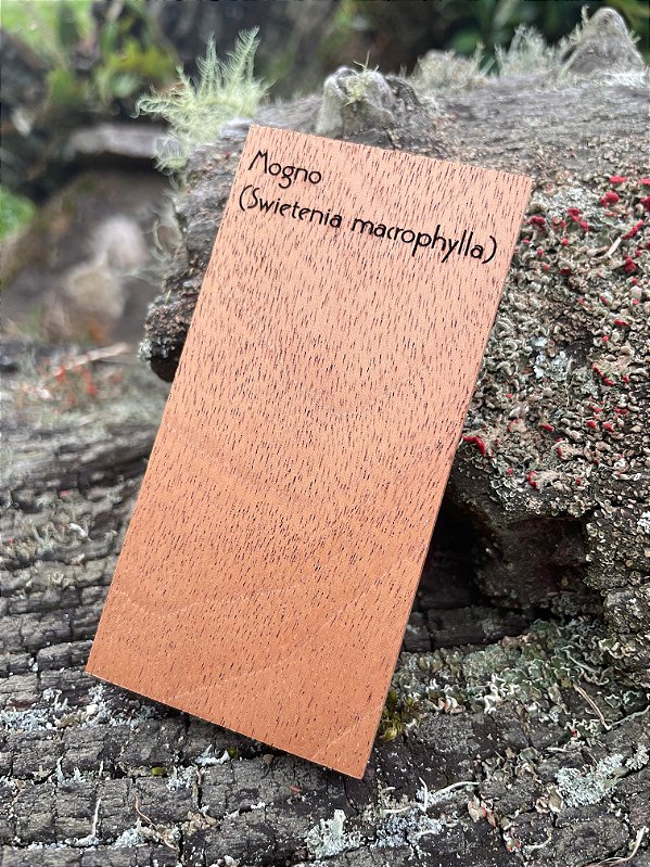 AMOSTRA DE MADEIRA PARA XILOTECA - Mogno (Swietenia macrophylla)