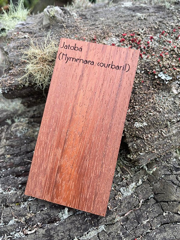 AMOSTRA DE MADEIRA PARA XILOTECA - Jatobá (Hymenaea courbaril)