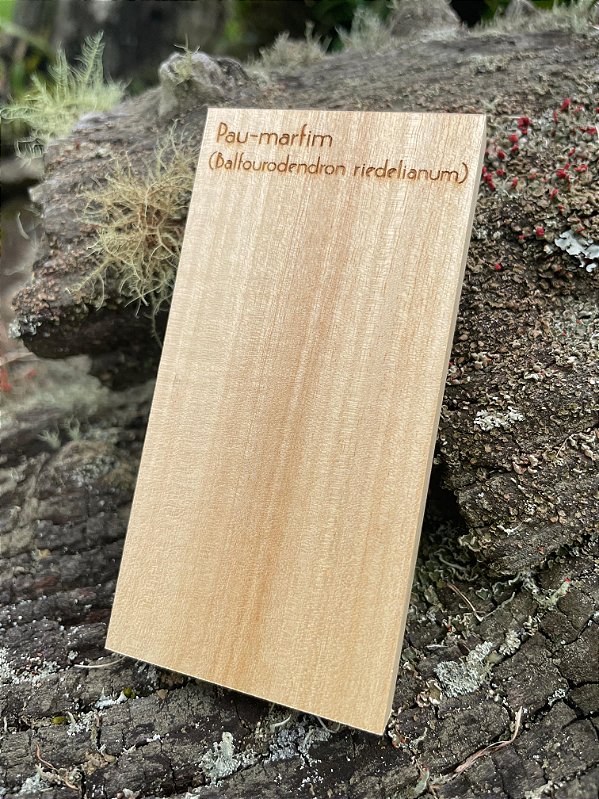 AMOSTRA DE MADEIRA PARA XILOTECA - Pau-marfim (Balfourodendron riedelianum)