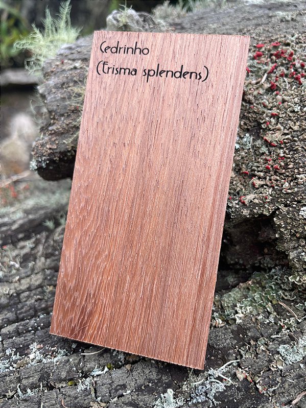 AMOSTRA DE MADEIRA PARA XILOTECA - Cedrinho (Erisma splendens)