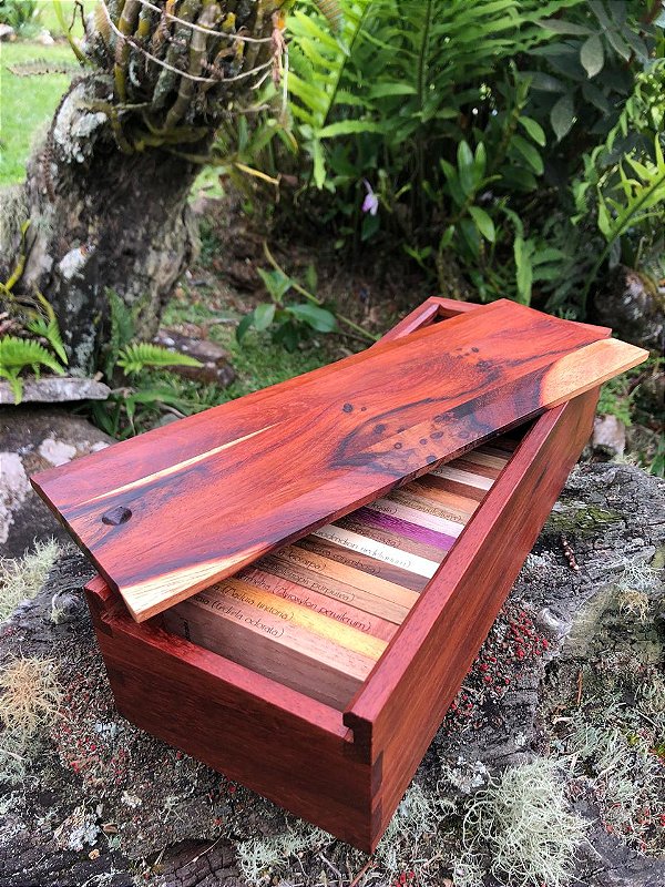 Xiloteca Premium de Madeiras Brasileiras — Kit com 30 Espécies Raras e Comerciais com Caixa