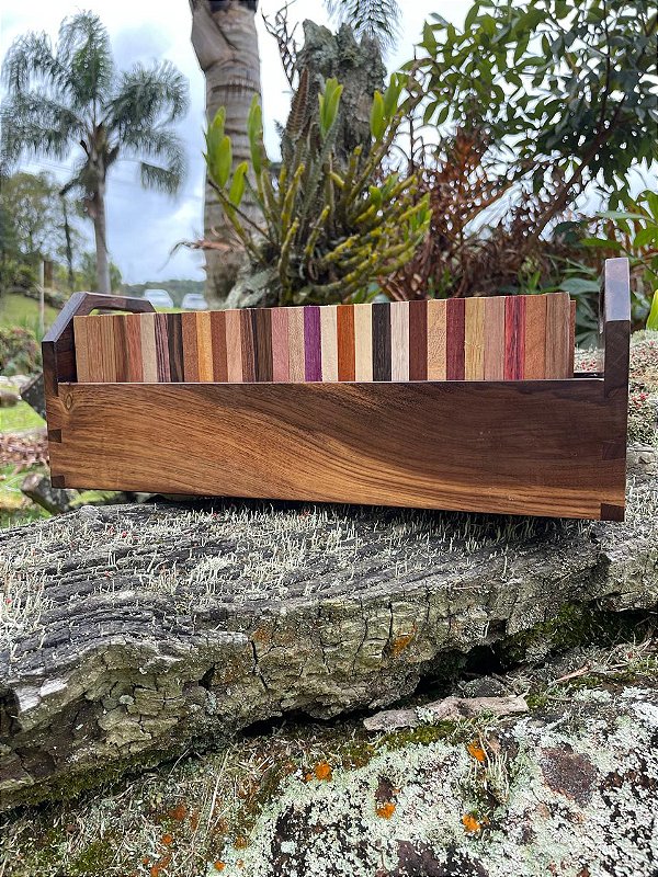 Xiloteca Premium de Madeiras Brasileiras — Kit com 60 Espécies Raras e Comerciais com Caixa