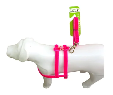 Conjunto Peitoral e Guia de Veludo Para Cachorro