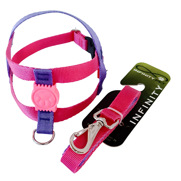 Conjunto Peitoral Neon Ajustável Com Guia Para Cachorro