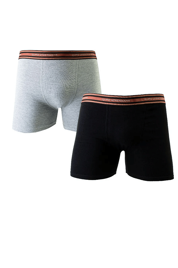 Cueca Boxer Kit Com 2 Unidades Lupo