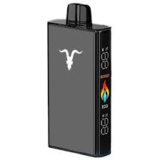Ignite V250 - 25000 Puffs - Icy Mint