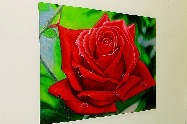 TELA DE FLOR, ROSA COR VERMELHO.