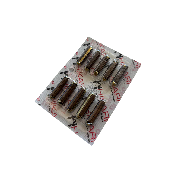 Fusível de Louça 20A