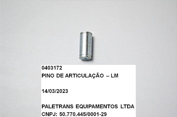 PINO DE ARTICULACAO - LM