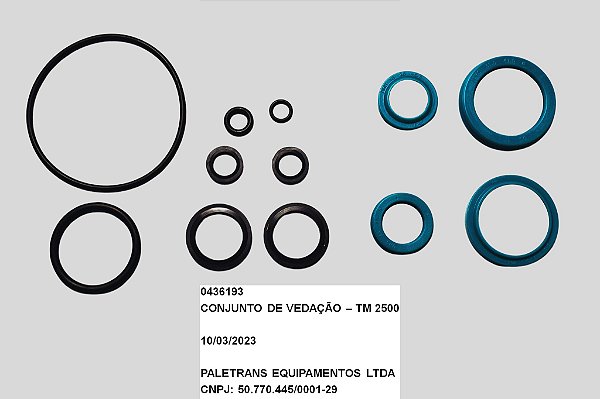 CONJUNTO DE VEDACAO - TM 2500