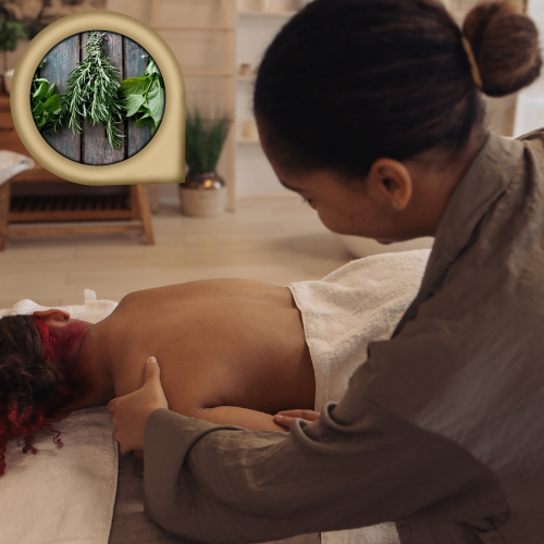 Essência de Grife Referência Spa Melissa e Alecrim