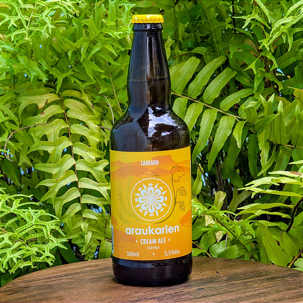 Cerveja Lageado Cream Ale Araukarien 500ml
