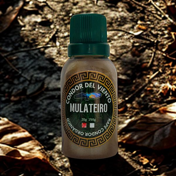 Medicina da Floresta de Mulateiro - Condor Del Viento