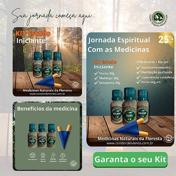 Kit Estudo Iniciante - Condor Del Viento