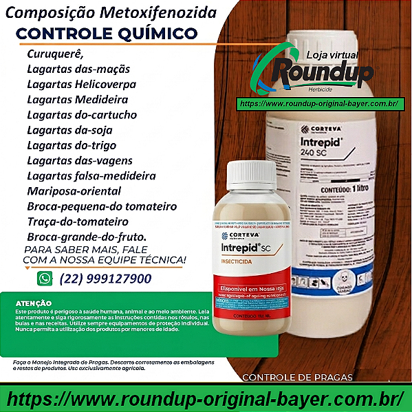 Inseticida Intrepid 240 Fracionado 100 ml - Composição Metoxifenozida