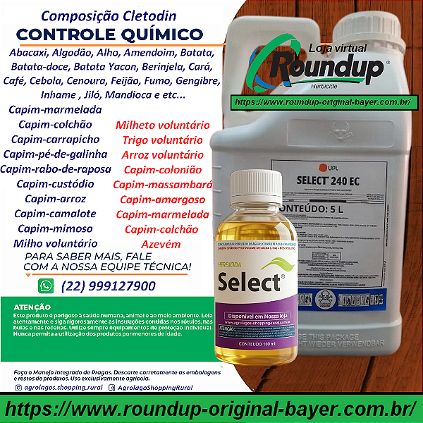 Herbicida Graminicida Select 240 Fracionado 100 ml - Composição Cletodin