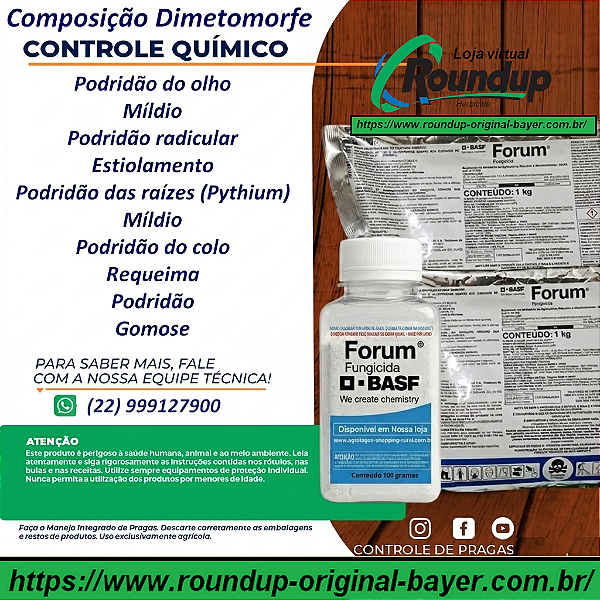Fungicida Forum Fracionado 50 g - Composição Dimetomorfe