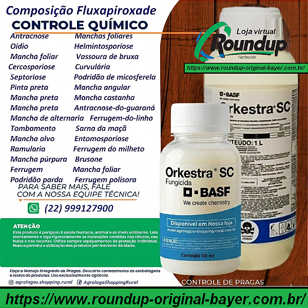 Fungicida Orkestra Fracionado 100 ml - Composição Fluxapiroxade