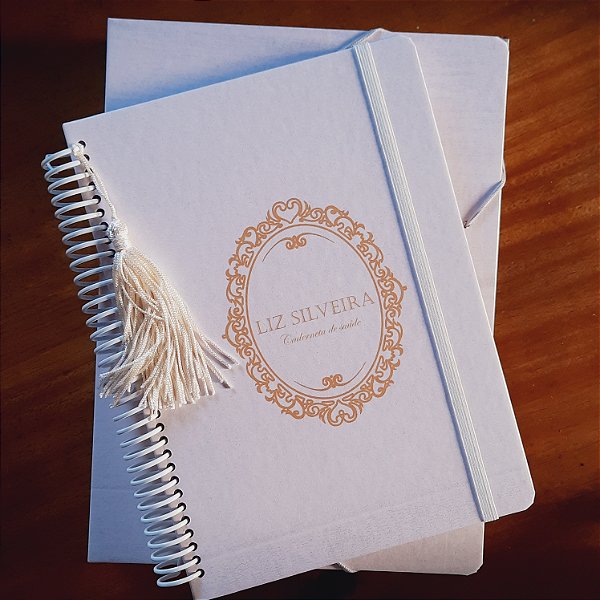 Kit caderneta de saúde + pasta