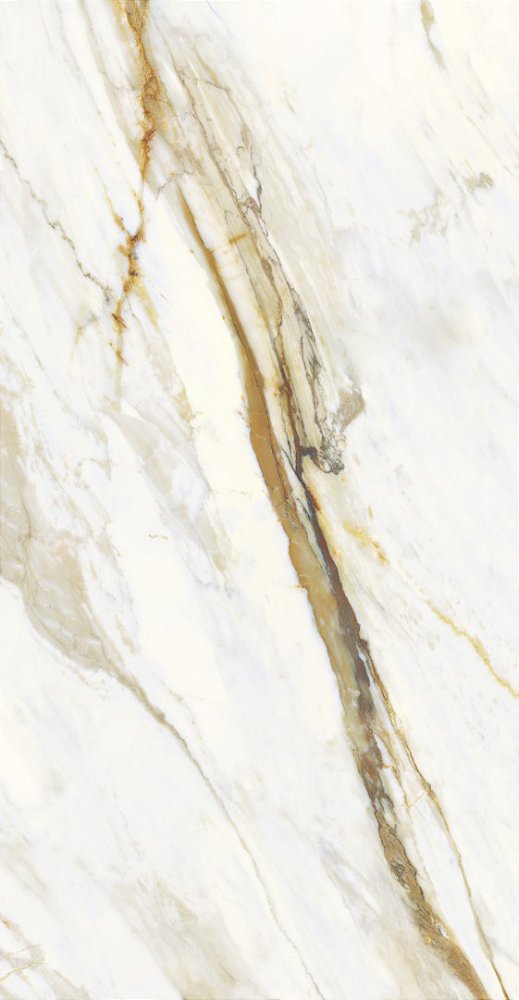 Revestimento ceramico  Macchi Oro 60x120  Karina
