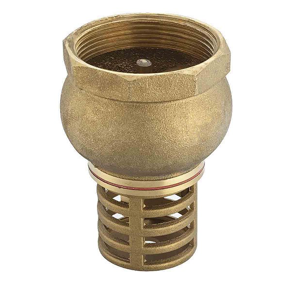 Válvula De Sucção Fundo De Poço 1" Liege