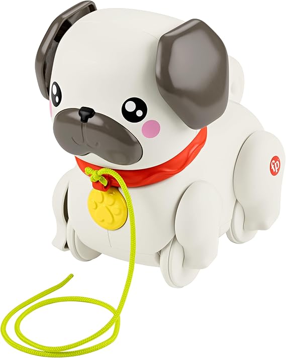 Pug Passeia Comigo