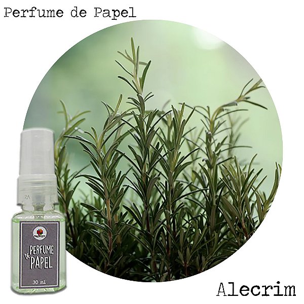 Perfume de Papel /Cheirinho para Embalagem / Aroma para Ambientes - Alecrim 30ml