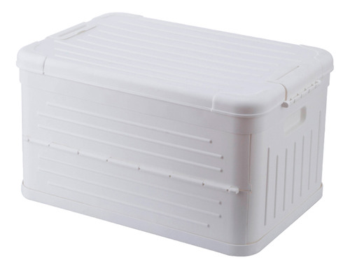 Caixa Organizadora Dobravel Grande 30l Branca Branco