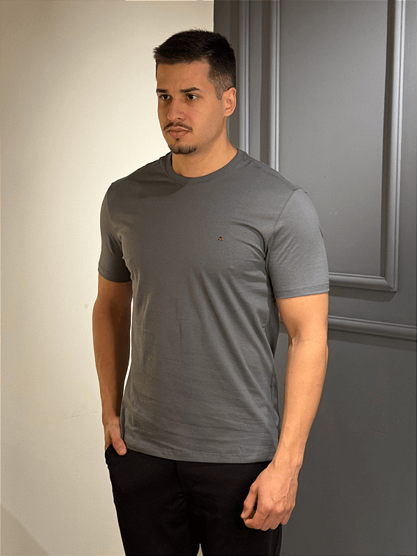 Camiseta Aramis Básica Cinza Grafite
