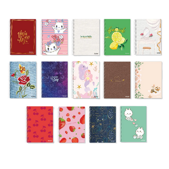 CADERNO UNIVERSITARIO ESP. CD 1M 96 FLS UAU UN