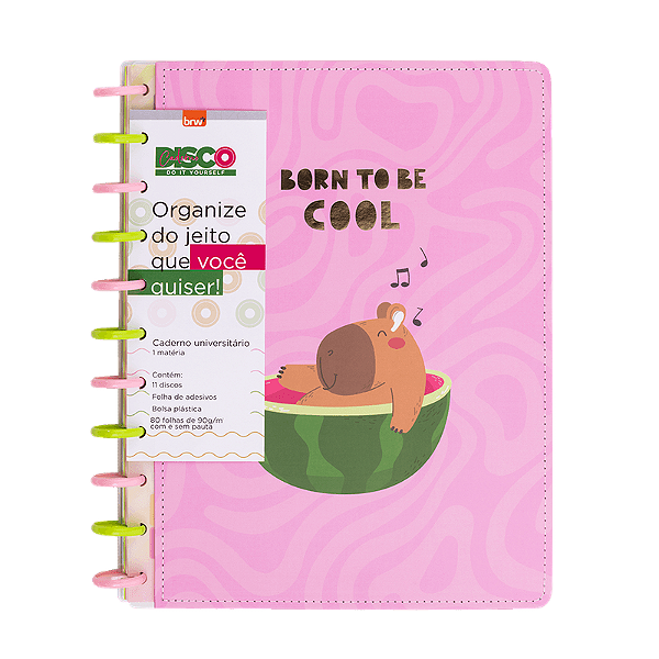 CADERNO DISCO CAPIVARA - 280X215 - 80 FOLHAS BRW