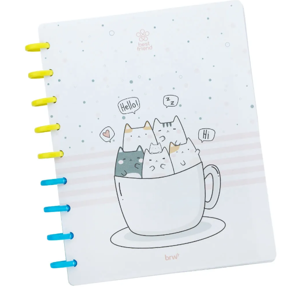 CADERNO DE DISCO BEST FRIEND 80 FOLHAS BRW BRW UNIDADE