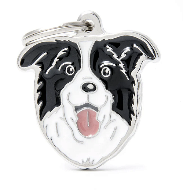 Plaquinha de Identificação Cão Border Collie - MyFamily - 552583