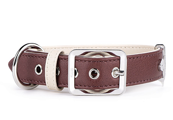 Coleira para Cães de Couro Bordô e Bronze Branco - MyFamily - 434217