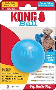 Bola Recheável Para Filhotes Azul - Kong - 360301