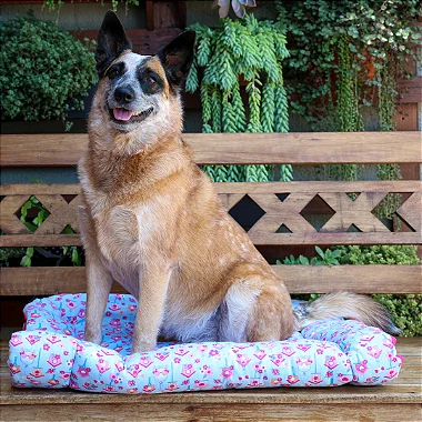 Colchonete para Cães e Gatos com botões de pressão G - Pupet's - 16993