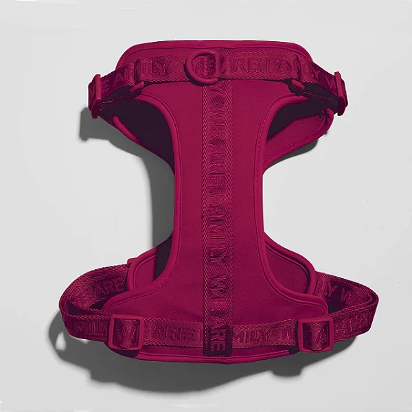 Conjunto Peitoral + Guia Vermelha - We Are Family