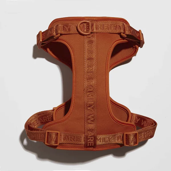 Conjunto Peitoral + Guia Laranja - We Are Family