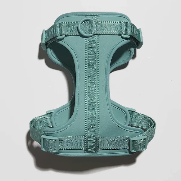 Conjunto Peitoral + Guia Verde Água - We Are Family