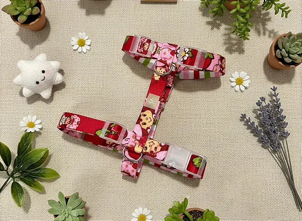 Conjunto Peitoral em H e Guia Moranguinho Classic - Oh My Dog